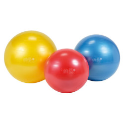 Gymnic Classic Plus - Piłka o śr. 65 cm Gymnic Classic Plus - Piłka o śr. 65 cm