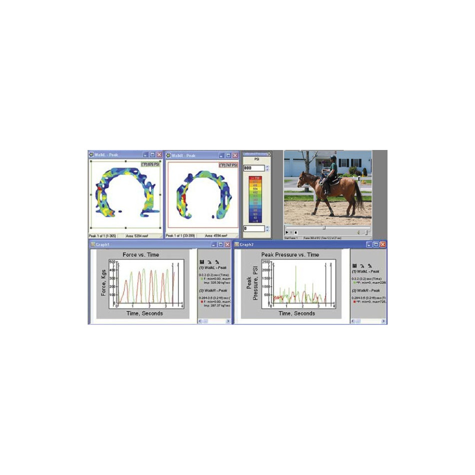 System analizy chodu koni - Hoof System
