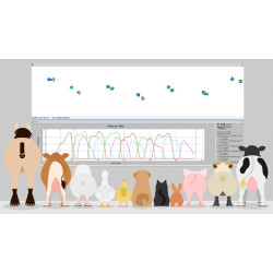 System analizy chodu zwierząt - Walkaway