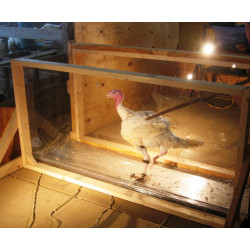 System analizy chodu zwierząt - Walkaway