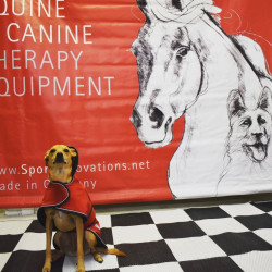 Legowisko i derki dla psów z magnetoterapią PEMF