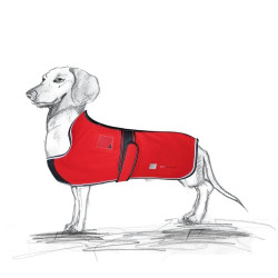 Legowisko i derki dla psów z magnetoterapią PEMF