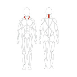 G160 DMS-EVE Cervical Rotation