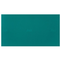 Airex Fitness Mata gimnastyczna Hercules