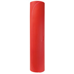 Airex Fitness Mata gimnastyczna Coronella 185 cm