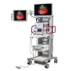 Diagnostyka fotodynamiczna...