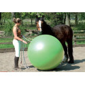 Mega Ball - Piłka gimnastyczna o śr. 180 cm do treningu koni