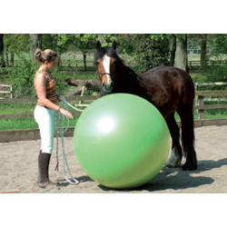 Mega Ball - Piłka gimnastyczna o śr. 180 cm do treningu koni
