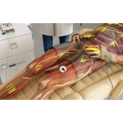 NESA XSIGNAL - Nieinwazyjne prądy neuromodulujące NESA XSIGNAL - Nieinwazyjne prądy neuromodulujące