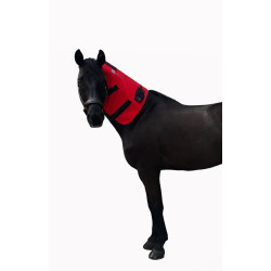 Aplikator magnetoterapii PEMF na szyję konia