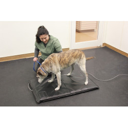 Stance Analyzer Stance Analyzer