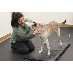 Stance Analyzer Stance Analyzer