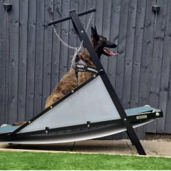 Bieżnia dla psa Dragon firmy Firepaw