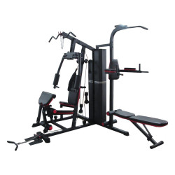 Atlas treningowy trzystanowiskowy DS632S DS Fitness