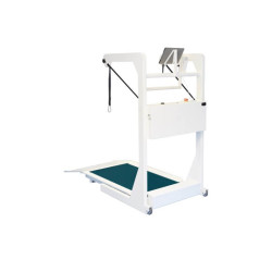 ema® - Inteligentna bieżnia do treningu chodu