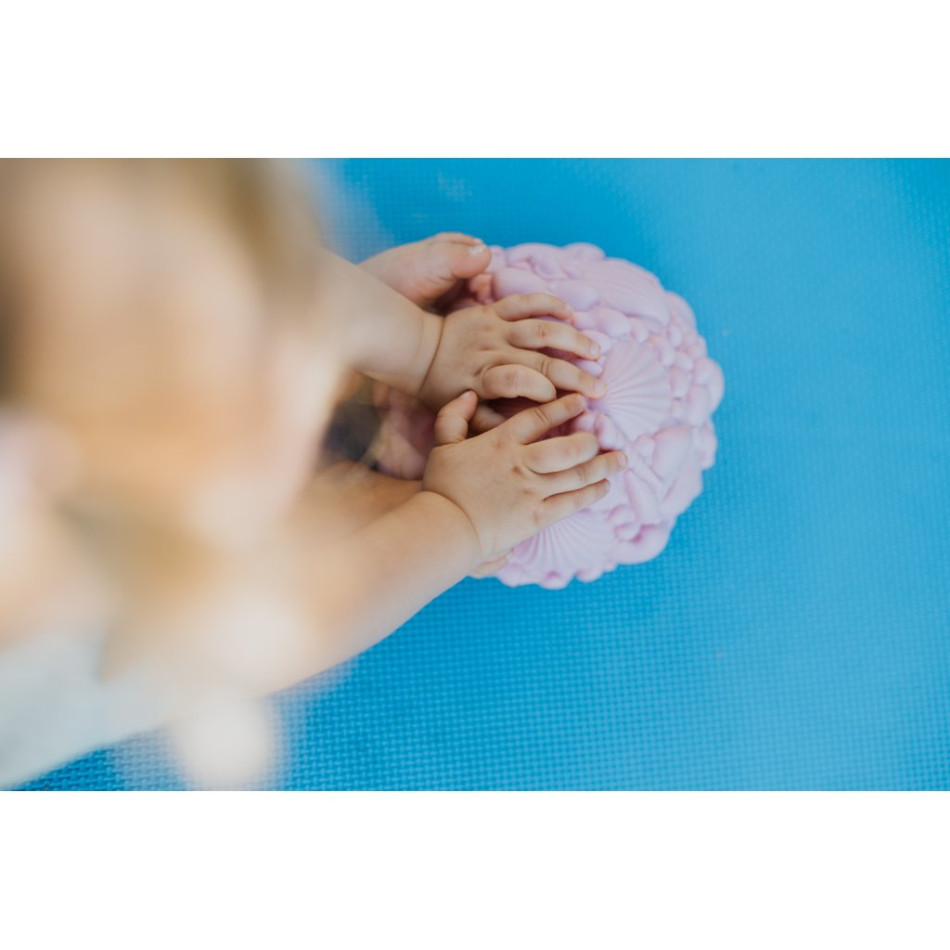 Muszelki - Kamień do balansowania Muszelki - Kamień do balansowania