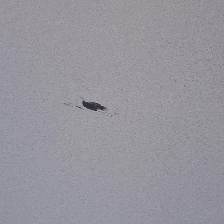 Aparat do Krioterapii Miejscowej Kriopol R Bryza 2 II (zbiornik 30 l) - OUTLET