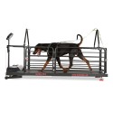 Bieżnia dla psów - Dog Runner - Ortho Pro