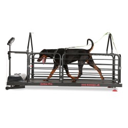 Bieżnia dla psów - Dog Runner - Ortho Pro Bieżnia dla psów - Dog Runner - Ortho Pro