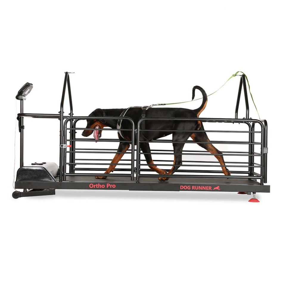 Bieżnia dla psów - Dog Runner - Ortho Pro Bieżnia dla psów - Dog Runner - Ortho Pro