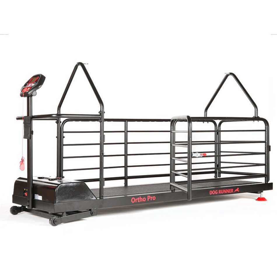 Bieżnia dla psów - Dog Runner - Ortho Pro Bieżnia dla psów - Dog Runner - Ortho Pro