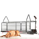 Bieżnia dla psów - Dog Runner - Ortho Pro
