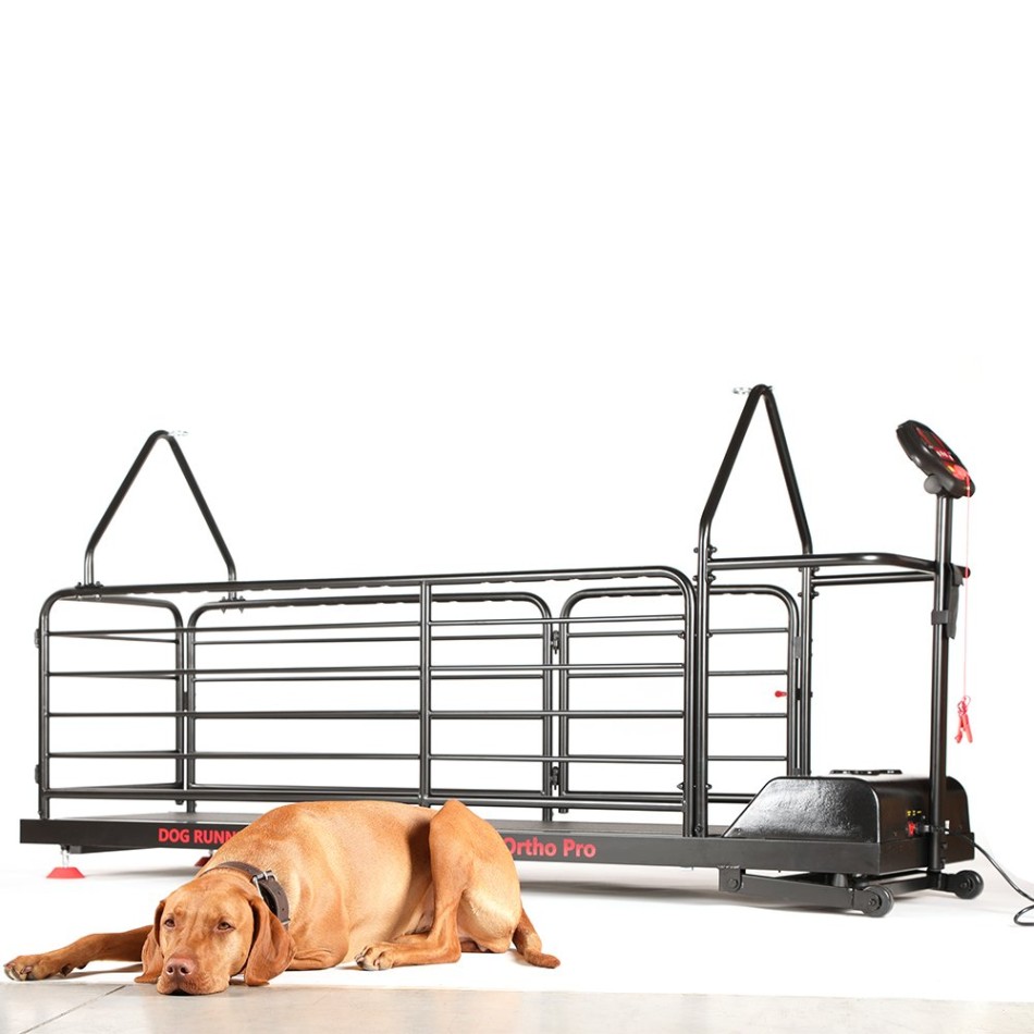 Bieżnia dla psów - Dog Runner - Ortho Pro Bieżnia dla psów - Dog Runner - Ortho Pro