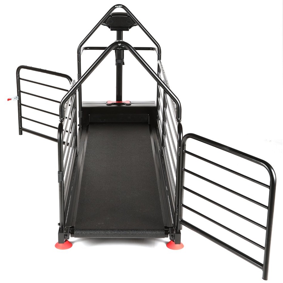 Bieżnia dla psów - Dog Runner - Ortho Pro Bieżnia dla psów - Dog Runner - Ortho Pro