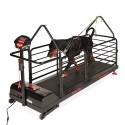 Bieżnia dla psów - Dog Runner - Ortho Pro