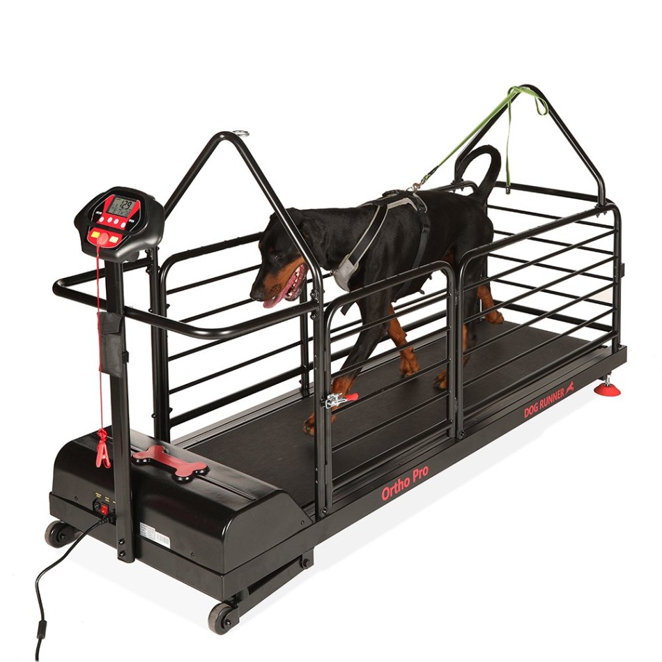 Bieżnia dla psów - Dog Runner - Ortho Pro Bieżnia dla psów - Dog Runner - Ortho Pro