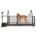 Bieżnia dla psów - Dog Runner - Ortho Pro