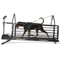 Bieżnia dla psów - Dog Runner - Revolution Pro – Dog Runner