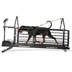 Bieżnia dla psów - Dog Runner - Revolution Pro – Dog Runner