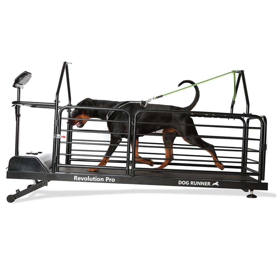 Bieżnia dla psów - Dog Runner - Revolution Pro – Dog Runner