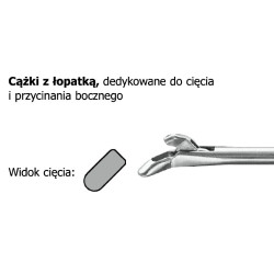 Kleszczyki do pobierania...