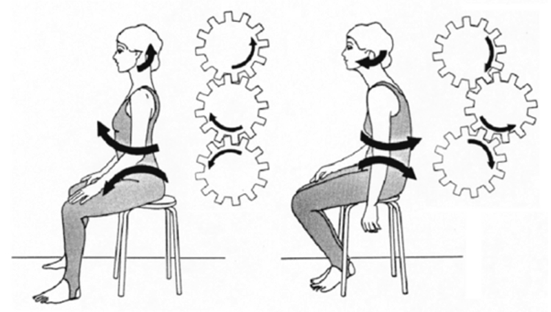 Taboret rehabilitacyjny DeMiro Spine Stool