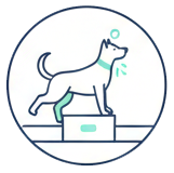 ikonka o Core Balance