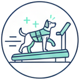 ikonka o Multiactiv Stones