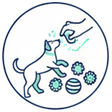 ikonka o Multiactiv Stones