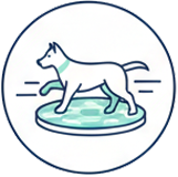 ikonka o Core Balance