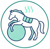 ikonka o Mega Ball - dla koni