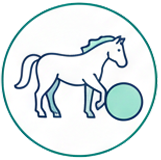 ikonka o Mega Ball - dla koni