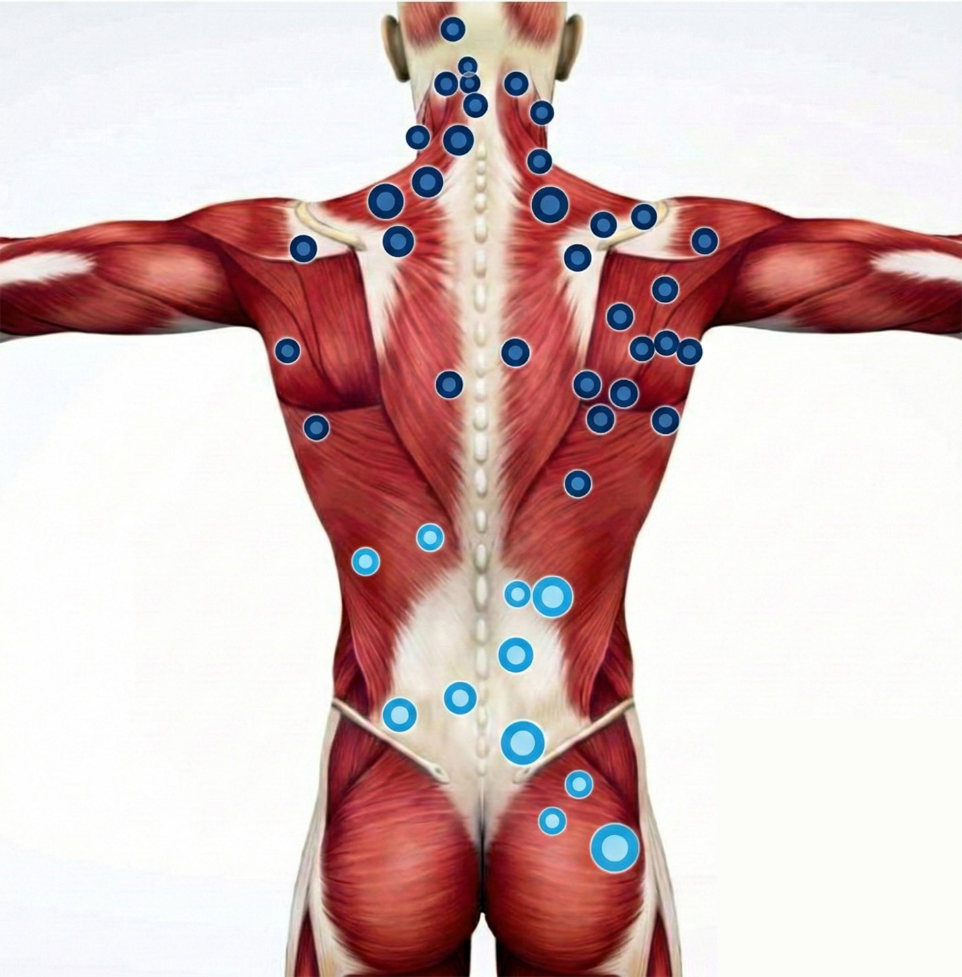 punkty spustowe na ciele człowieka
