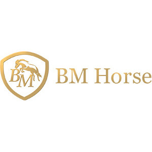 BM Horse