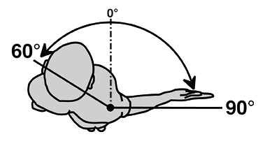 Szyna CPM do ćwiczeń stawu barkowego Centura Lite
