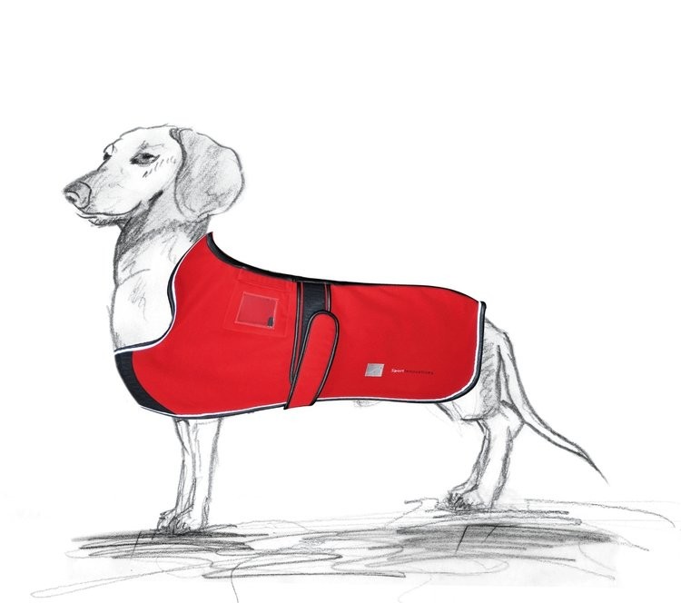 Pies w derce Sport Innovations