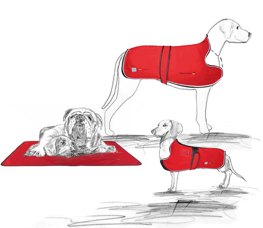 Psy w derce Sport Innovations