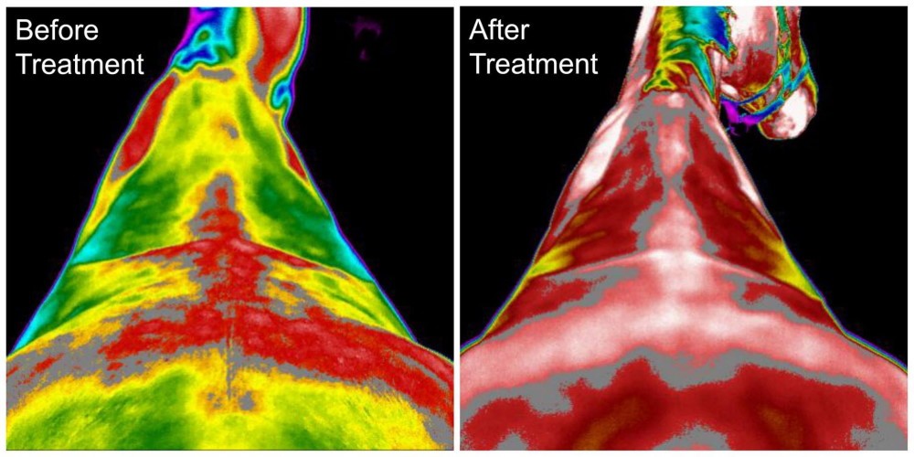 Kamera termowizyjna - MagPro Plus