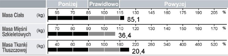 Analiza mięśniowo-tłuszczowa