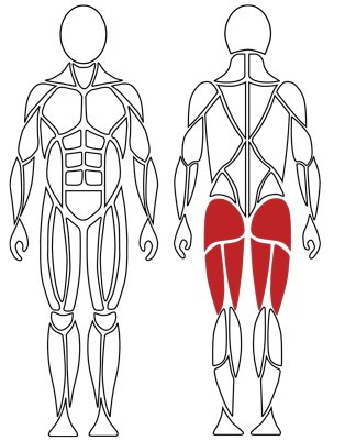 G260 partie ćwiczonych mięśni